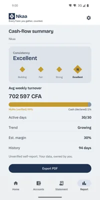 Nkaa cash-flow summary report