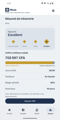 Résumé de trésorerie Nkaa